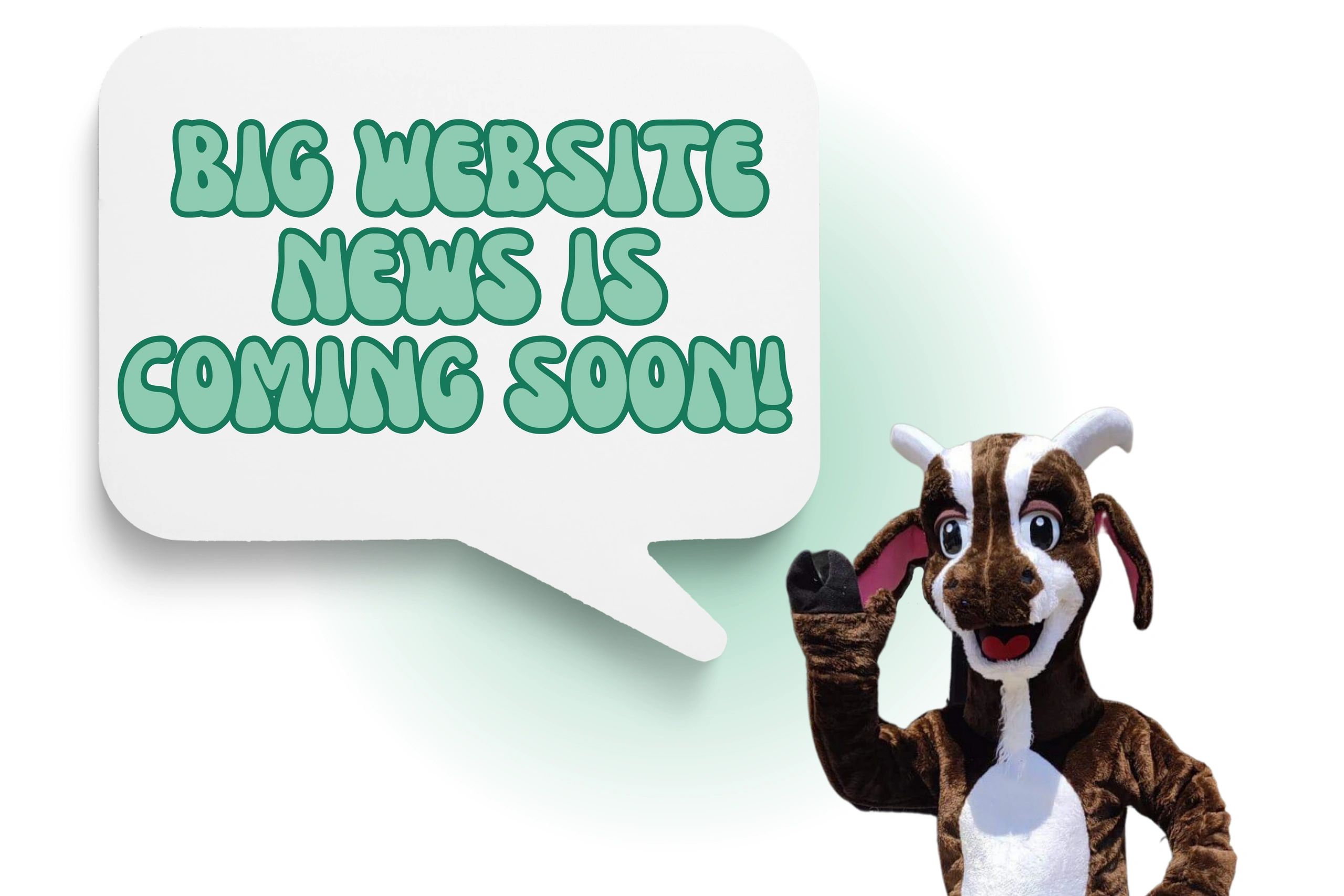 Gift Shop in Hernando, MS